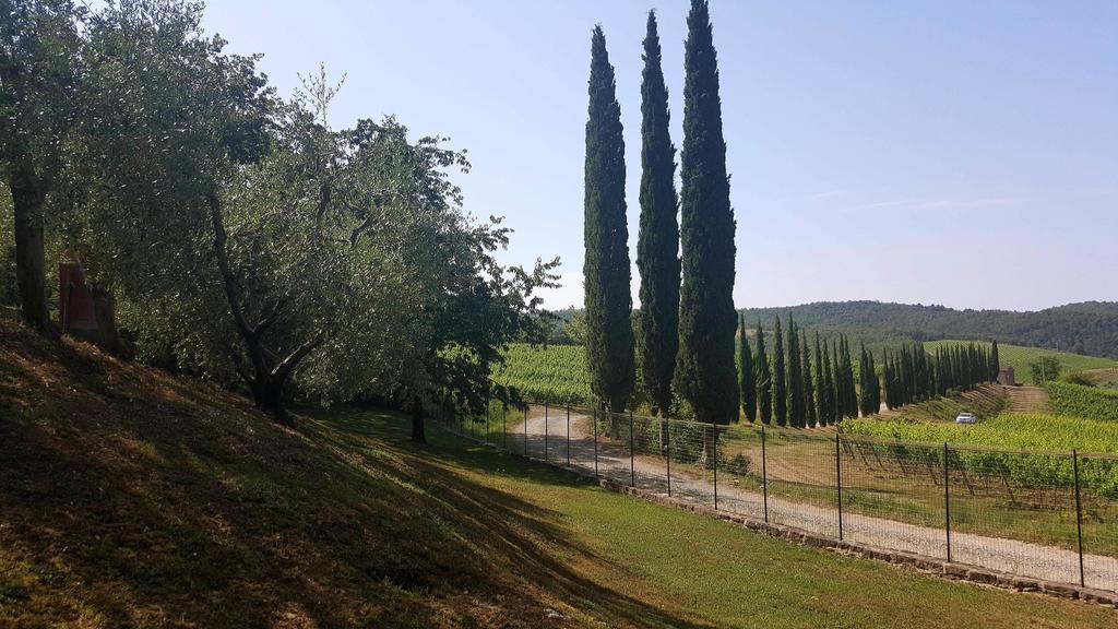Holiday House Le Selvole Radda in Chianti Eksteriør billede
