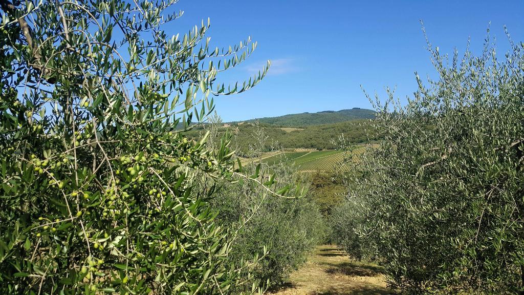 Holiday House Le Selvole Radda in Chianti Eksteriør billede