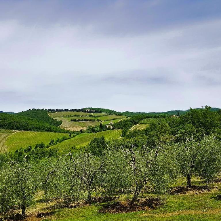 Holiday House Le Selvole Radda in Chianti Værelse billede