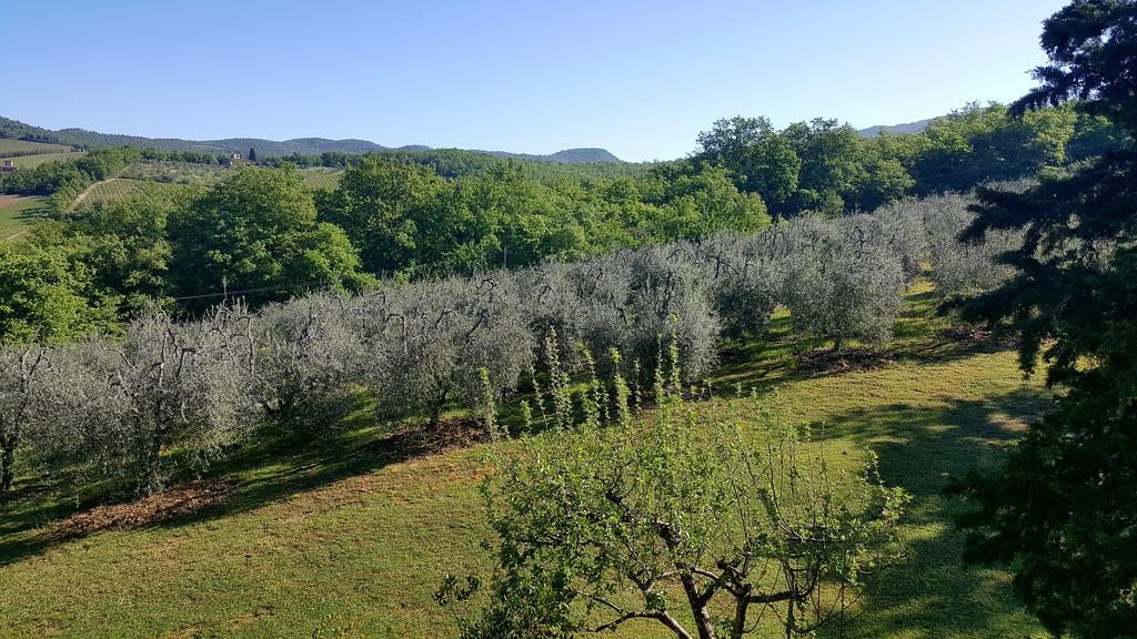 Holiday House Le Selvole Radda in Chianti Eksteriør billede